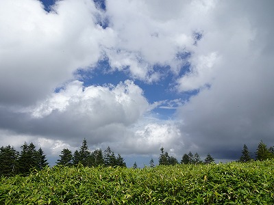 キャンプ(5学年) キャンプ(5学年)