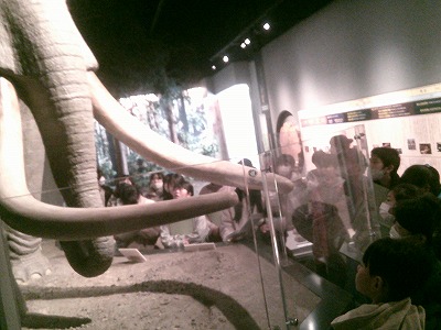 社会見学(6学年) 社会見学(6学年)